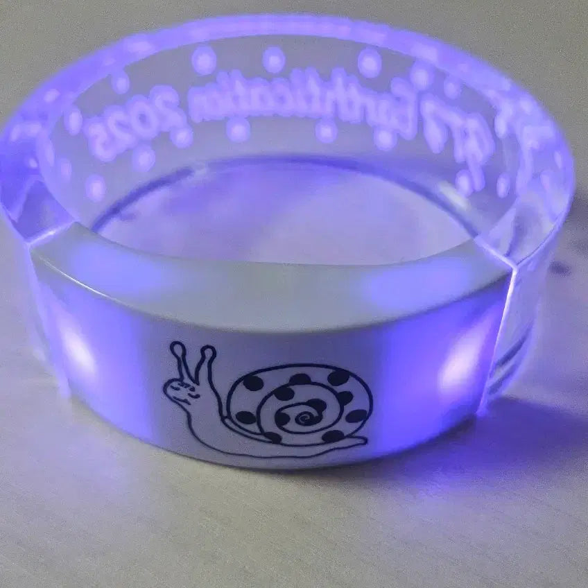 [BUNJANG] Minami LED Ring / minami 미나미 내한 굿즈 LED 링