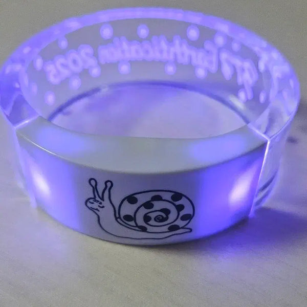[BUNJANG] Minami LED Ring / minami 미나미 내한 굿즈 LED 링