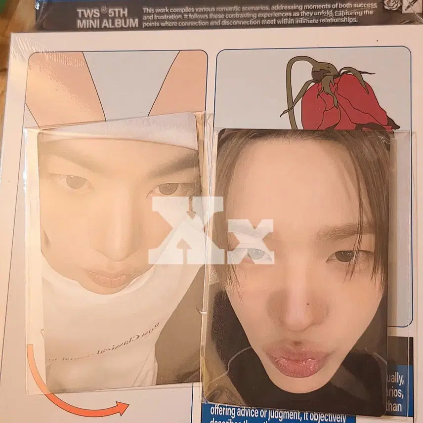 [BUNJANG] TWS Tourus Comeback Live Weverse POB Photocard / TWS 투어스 널따라가 컴백라이브 포카 위버스 미공포 양도