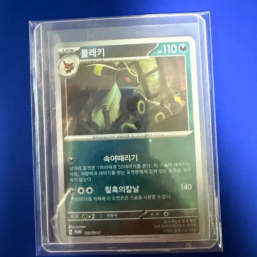 [BUNJANG] Pokemon Card Umbreon Promo Card / 포켓몬카드 블래키 프로모 카드