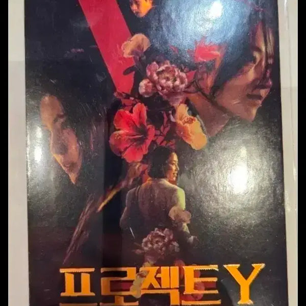 [BUNJANG] Project Y Original Ticket / 프로젝트y 오리지널티켓 오티
