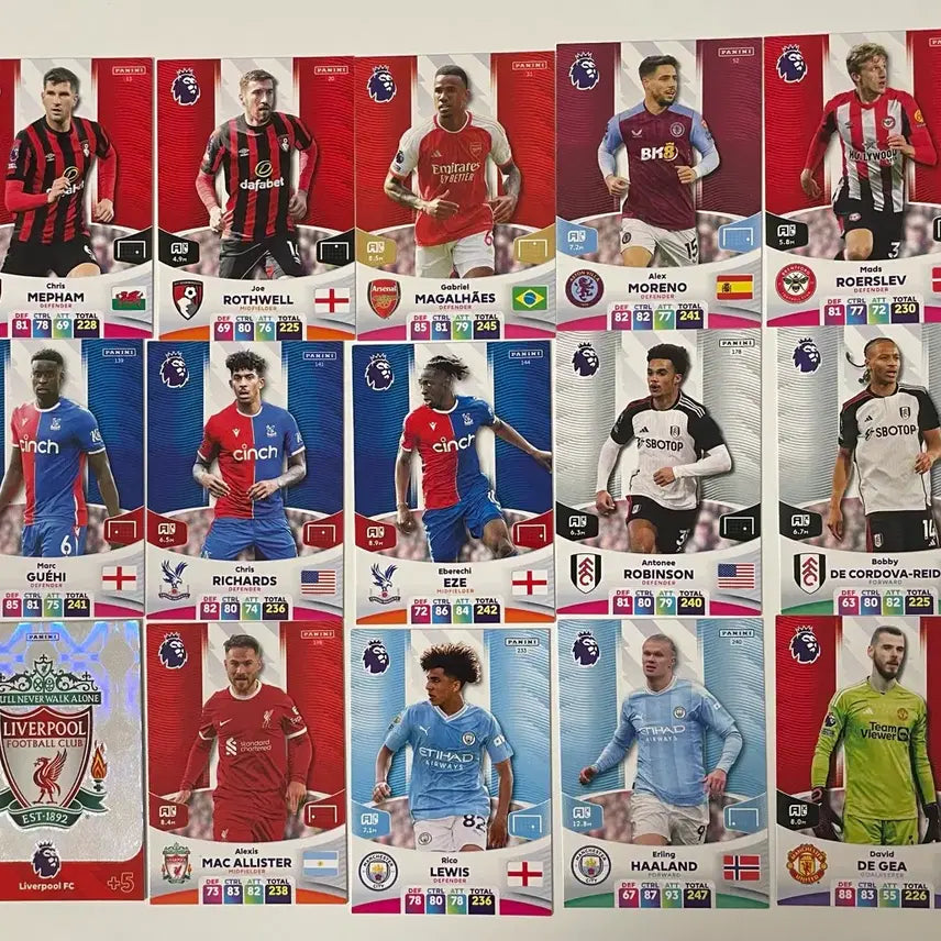[BUNJANG] Panini 2024 EPL Premier League Football Player Card Bundle Set / 일괄) 파니니 2024 EPL 프리미어리그 축구 선수 카드