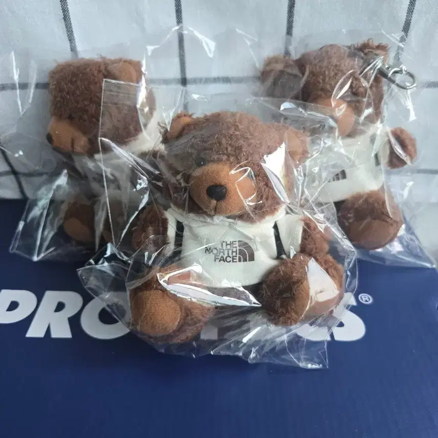 [BUNJANG] The North Face Brown Bear Plush Keychain / 노스페이스 브라운 곰돌이 인형 키링