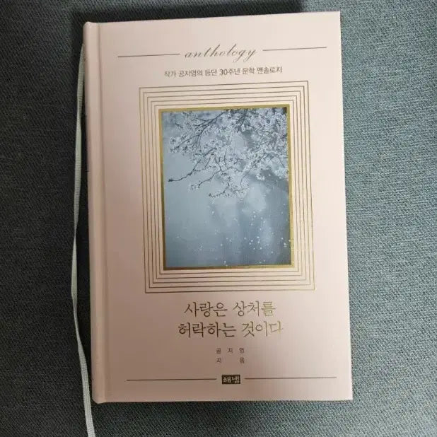[BUNJANG] Gong Ji-young "Love Permits Wounds" Anniversary Edition / 공지영, "사랑은 상처를 허락하는 것이다"