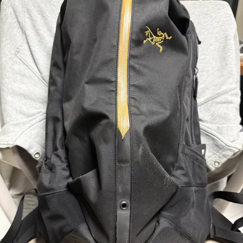 [BUNJANG] Arc'teryx Arro 22 Backpack / 아크테릭스 아로22