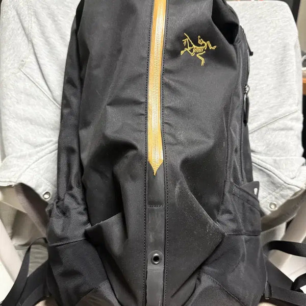 [BUNJANG] Arc'teryx Arro 22 Backpack / 아크테릭스 아로22