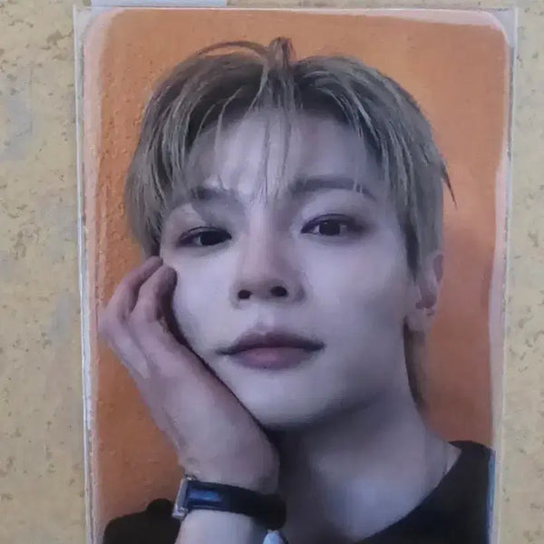 [BUNJANG] LUCY (Island Ver.) Dingo POB Photocard (Yechan) / 루시(Island Ver.) 딩고 특전 포토카드(예찬) 판매합니다