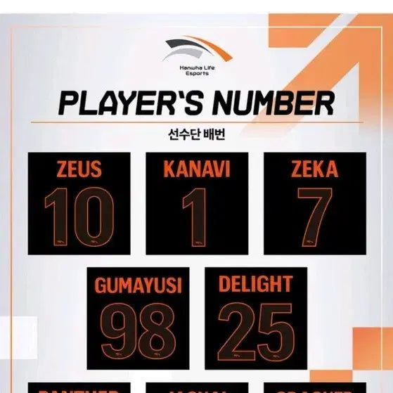 [BUNJANG] Hanwha Life Esports (HLE) Gumayusi Marking Kit / 한화생명 HLE 구마유시 마킹 키트 마킹지