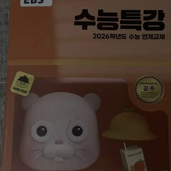 [BUNJANG] EBS College Entrance Exam Special Lecture Chinese 1 (2026 Academic Year) / EBS 수능특강 중국어1 2026학년도