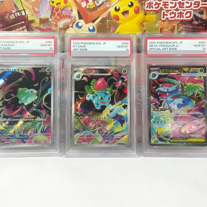 [BUNJANG] Pokemon Japanese Bulbasaur, Ivysaur, Venusaur ex PSA 10 3-Card Set / 일판 2025 이상해씨 이상해풀 메가 이상해꽃 ex psa 10 3종