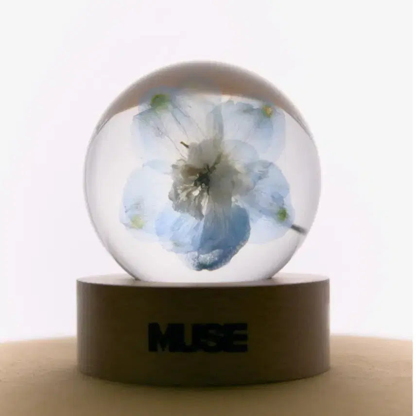 [BUNJANG] BTS Jimin Muse Paperweight (Unsealed) / bts 지민 뮤즈 문진 판매