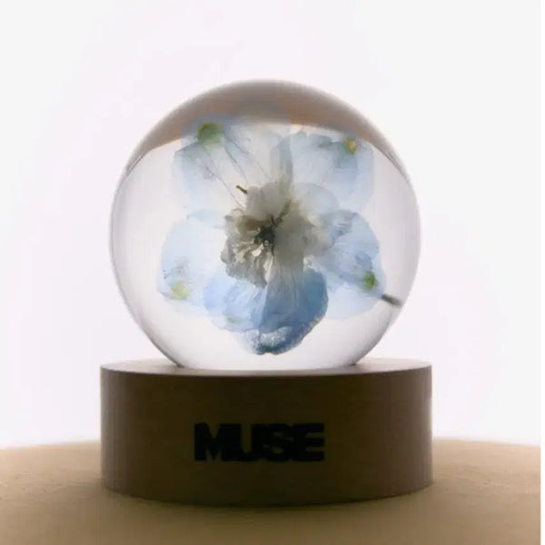 [BUNJANG] BTS Jimin Muse Paperweight (Unsealed) / bts 지민 뮤즈 문진 판매