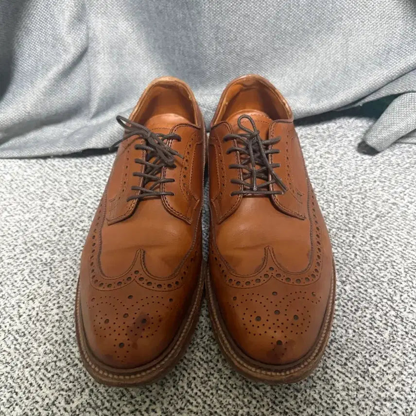 [BUNJANG] Alden 97641 Calfskin Longwing Blucher Shoes Size 9.5 / 알든 97641 카프스킨 롱윙 블러쳐 9.5D