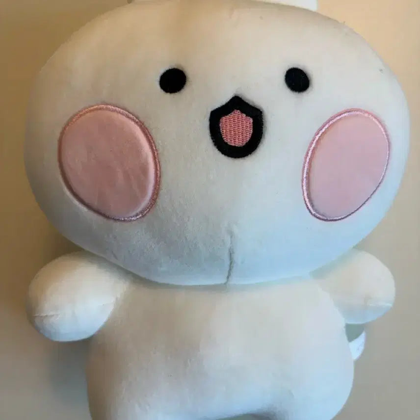 [BUNJANG] Bear Mascot Rabbit Mascot Medium Plush Doll Size M / 곰돌찡 토끼찡 중형 인형 M사이즈