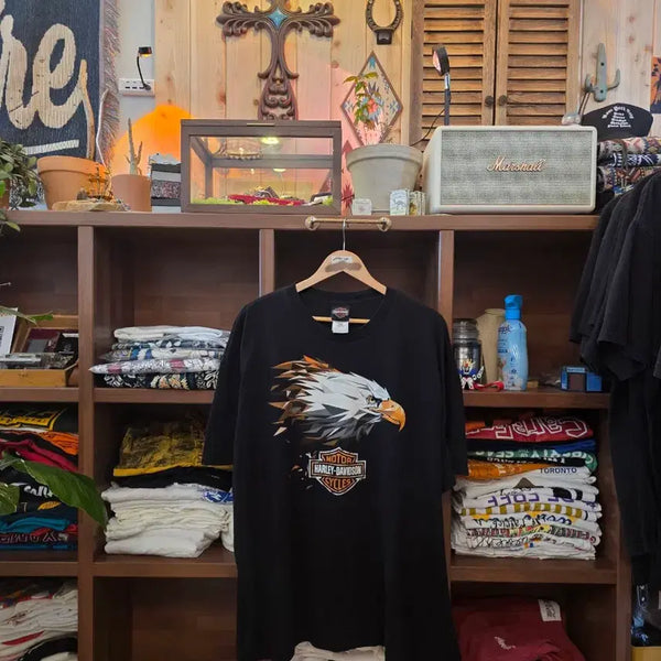 [BUNJANG] Harley-Davidson Eagle Graphic Vintage T-Shirt XXL / Harley-Davidson Eagle Graphic Vintage