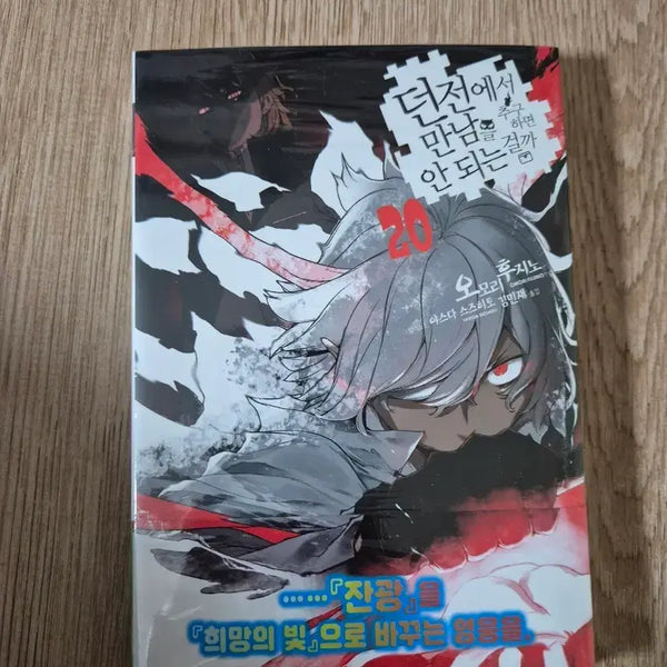 [BUNJANG] Is It Wrong to Try to Pick Up Girls in a Dungeon? Vol. 20 First Edition Unsealed Light Novel / 던만추 라노벨 20권 초판 미개봉