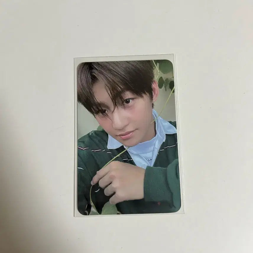 [BUNJANG] TWS Jihoon Sparkling Blue Soundwave POB Photocard / 투어스 지훈 스파클링 블루 사운드웨이브 특전 미공포