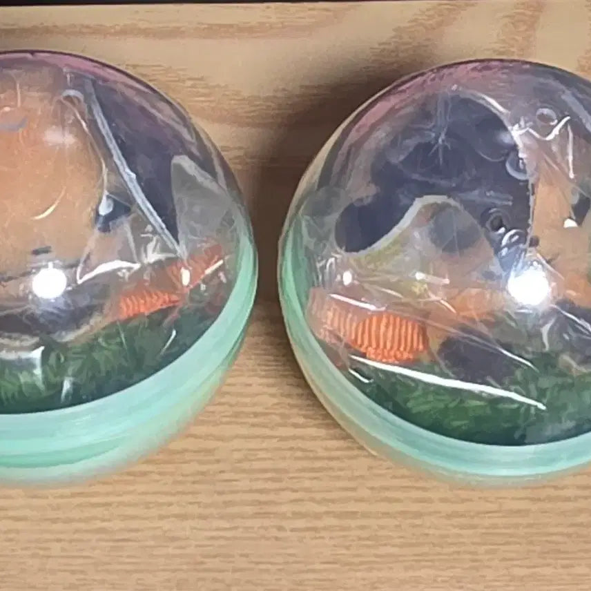 [BUNJANG] Pokemon 30th Anniversary Ditto's Playtime Hairpin Gacha - Raichu / 포켓몬 30주년 메타몽놀이터 헤어핀 가챠 라이츄