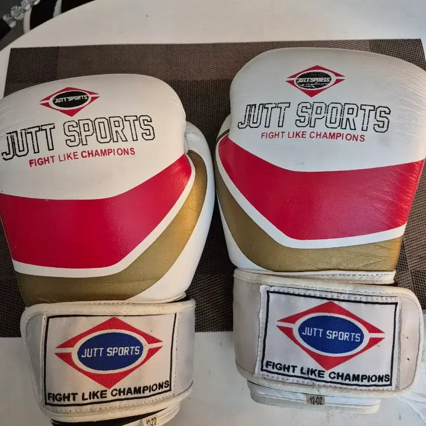 [BUNJANG] Boxing & Kickboxing Gloves (10oz/12oz) with Sandbag Gloves / 무료배송ㅡ복싱 킥복싱 글러브 장갑 10온스 + 샌드백 빽장갑