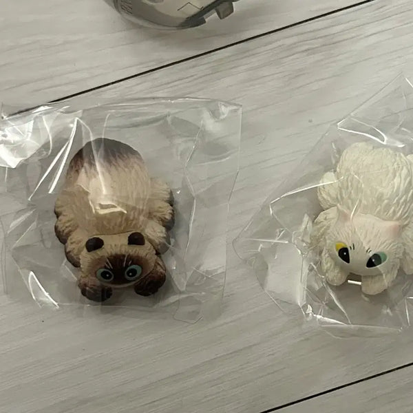 [BUNJANG] Kumoneko Spider Cat Figure / 쿠모네코 거미 고양이 피규어 가챠