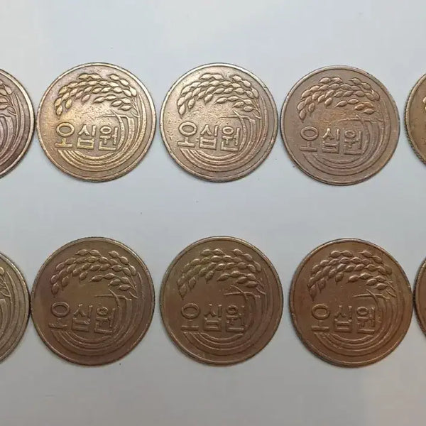 [BUNJANG] 1981 50 Won Coin Bundle (10 pieces) / 1981년 50원 동전 10개 일괄