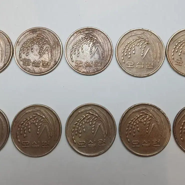 [BUNJANG] 1989 50 Won Coin Bundle Set (10 Coins) / 1989년 50원 동전 10개일괄