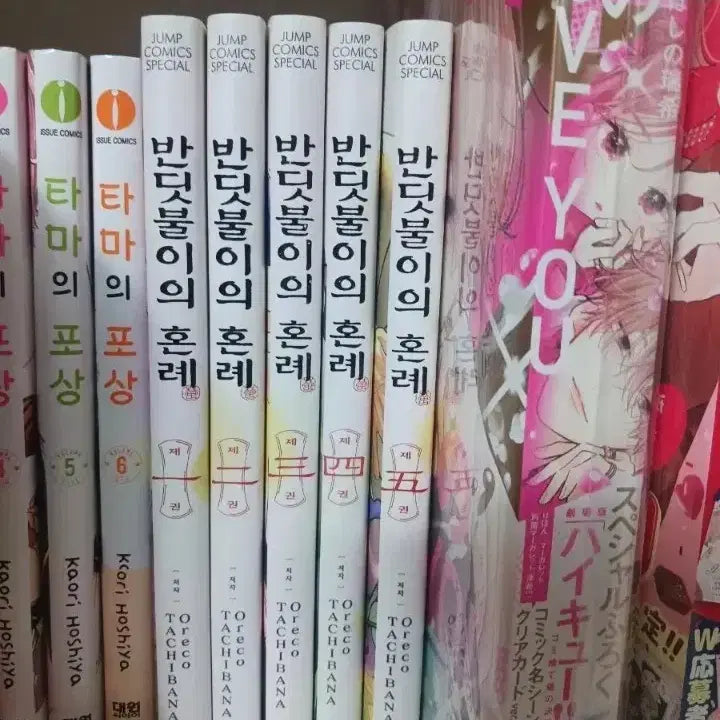 [BUNJANG] The Firefly's Wedding Volumes 1-5 / 반딧불이의 혼례 1~5권