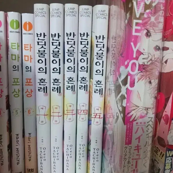 [BUNJANG] The Firefly's Wedding Volumes 1-5 / 반딧불이의 혼례 1~5권