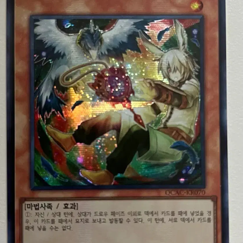 [BUNJANG] Drool & Rocbird Shin Illustration Secret Rare / 드롤&로크버드 신일러 시크릿레어