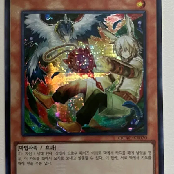 [BUNJANG] Drool & Rocbird Shin Illustration Secret Rare / 드롤&로크버드 신일러 시크릿레어