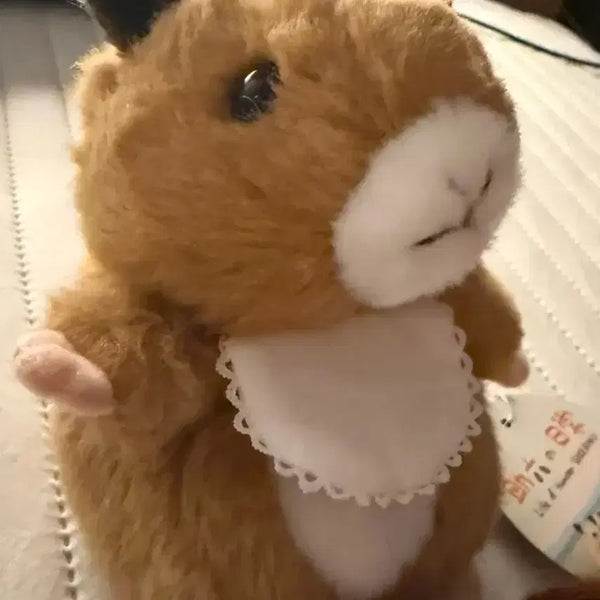 [BUNJANG] SukeRoku Jiro Hamster Plush Toy / 스케로쿠 지로 햄스터인형 양도 뚱쭝햄