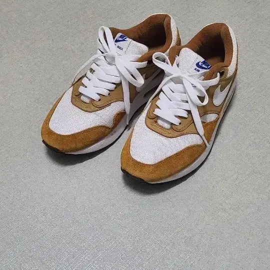 [BUNJANG] Nike Air Max 1 Curry 275 / 에어맥스 1 커리 275