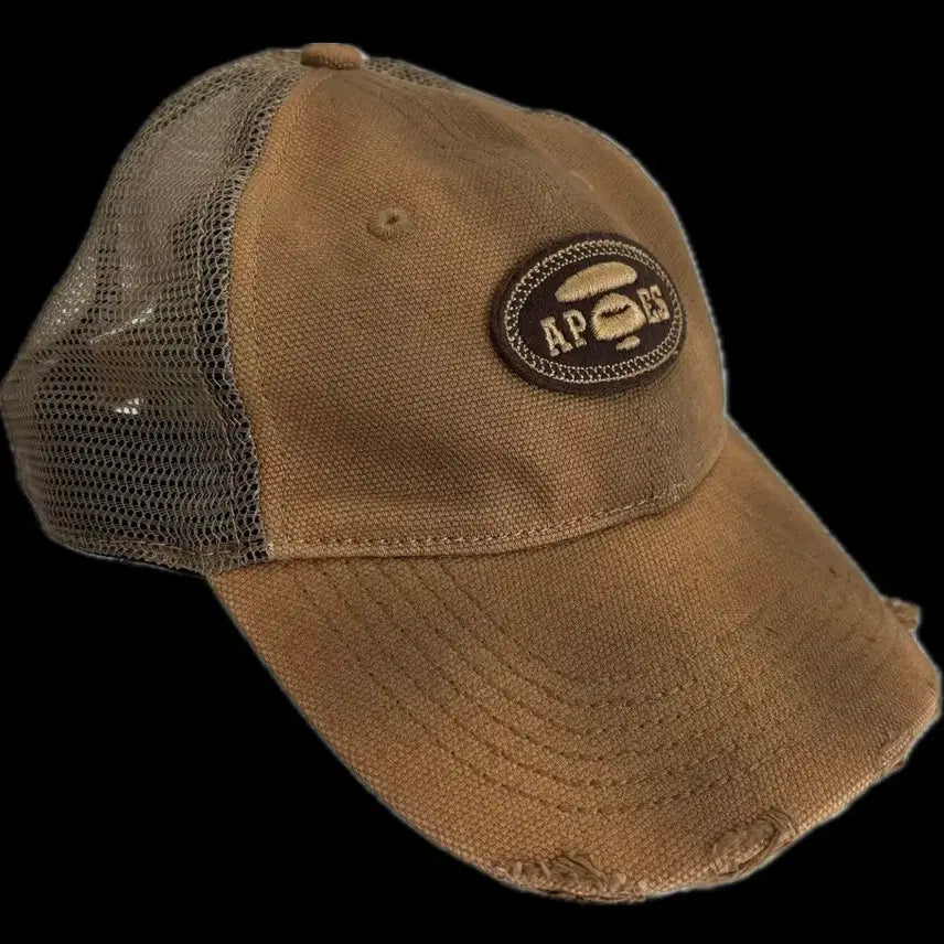 [BUNJANG] Ape Mesh Ball Cap / 에이프 매쉬 볼캡
