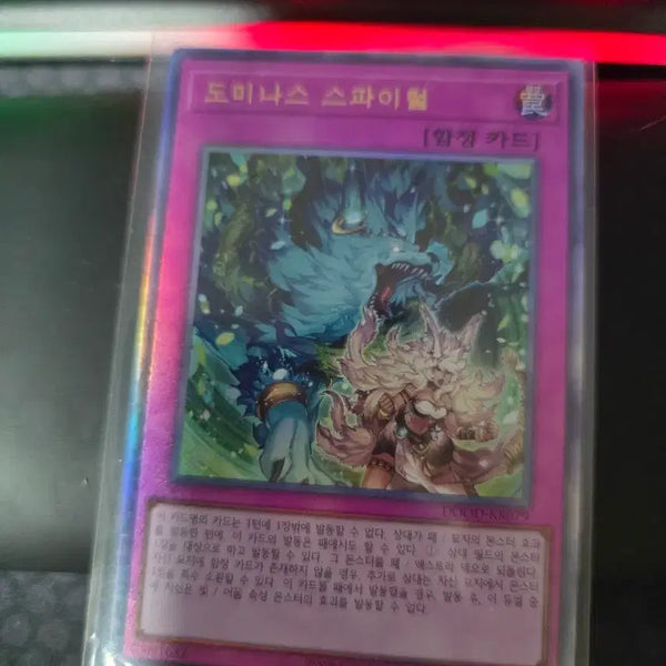 [BUNJANG] Yu-Gi-Oh! Dominas Spiral Trap Card / 유희왕 도미나스 스파이럴