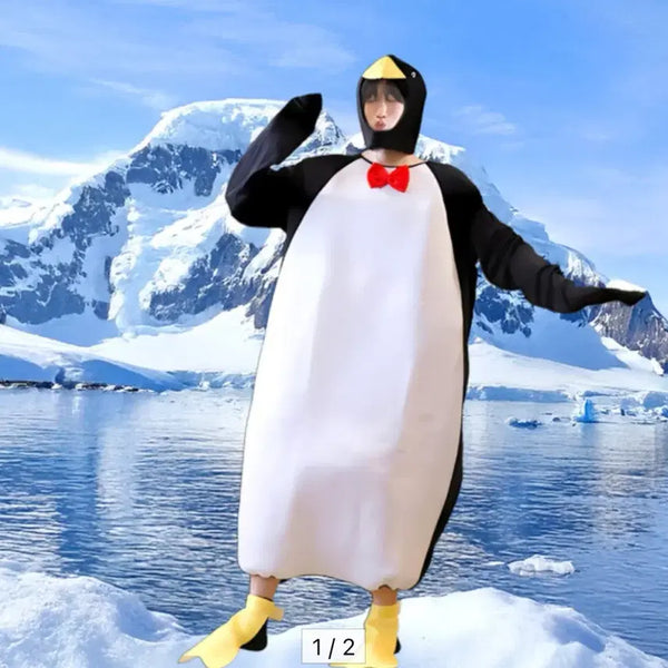 [BUNJANG] Penguin Graduation Costume Set / 졸업사진 졸사 펭귄 컨셉 코스튬 판매