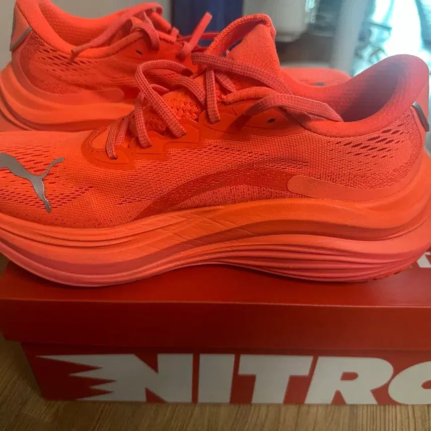 [BUNJANG] Puma Magnex Running Shoes / 푸미매그맥스