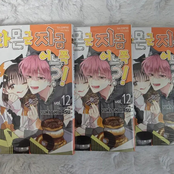 [BUNJANG] Tamon-kun, Which Side Are You On?! Vol. 12 Sealed Japanese Shōjo Manga / 타몬군 지금 어느 쪽?! 12권 미개봉 순정만화책 순정만화