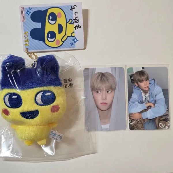 [BUNJANG] RIIZE Eunseok Season's Greetings Photocard Bundle Set / [일괄]다마고치 마메치 치비누이 마스코트 홀더 키링+라이즈 은석 포토카드