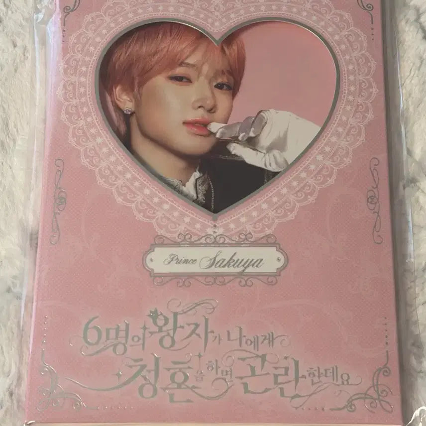 [BUNJANG] NCT WISH 2nd Anniversary Fanmeeting Sakuya Photocard Set (Sealed) / 미개봉) 엔시티위시 nctwish 2주년 팬미팅 사쿠야 포토세트