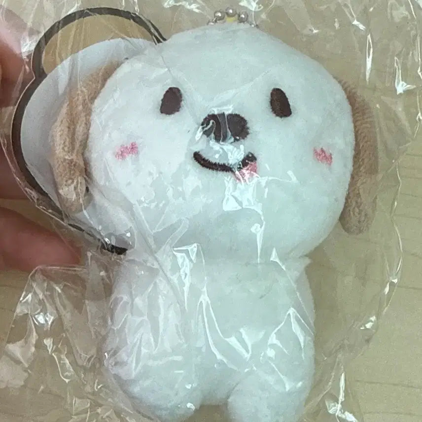 [BUNJANG] RIIZE "Bunny Dragon" 10cm Plush (Sealed) / 라이즈 미개봉 멍룡이 1기 10CM 팔아요