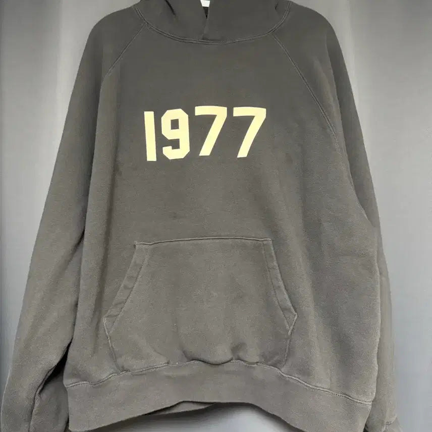 [BUNJANG] Fear of God Essentials 1977 Hoodie Iron 22SS / 에센셜 1977 후드 아이언 - 22SS
