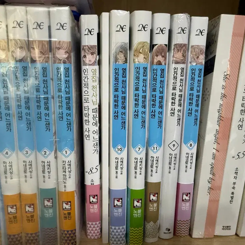 [BUNJANG] The Angel Next Door Spoils Me Rotten Light Novel & Manga Complete Set / 옆집 천사님 때문에 초판 소설 전권, 만화책 전권