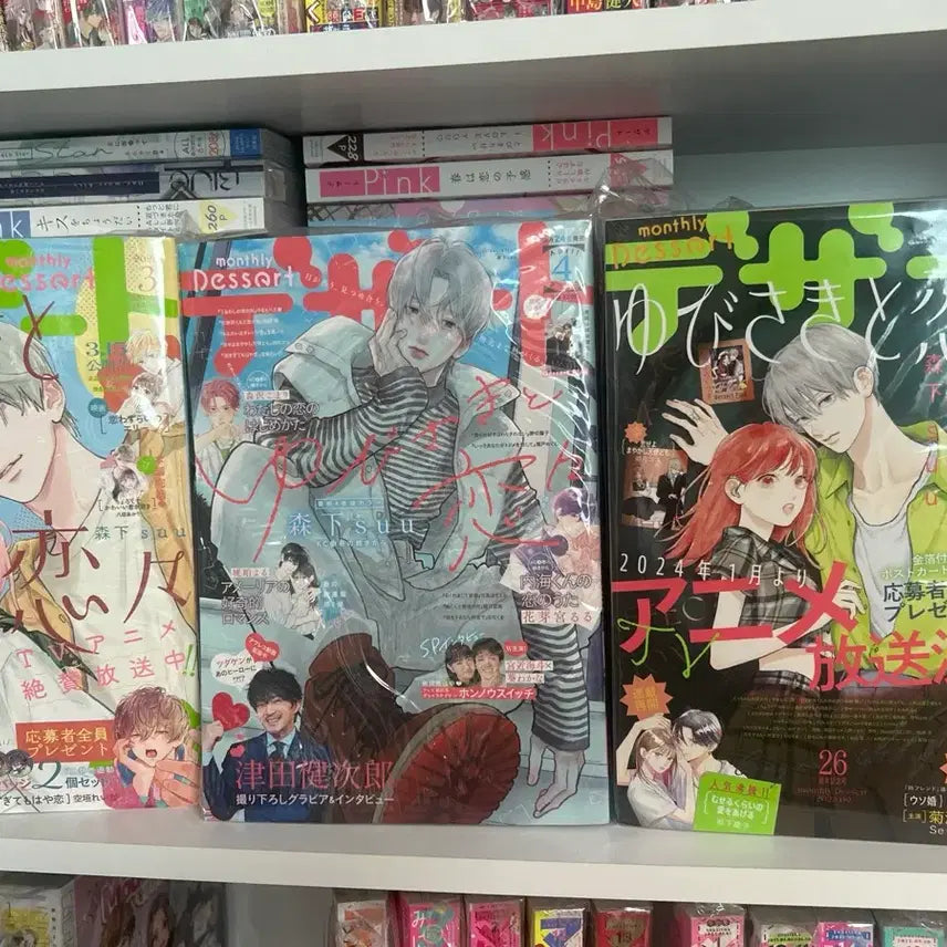 [BUNJANG] Sonkkeutgwayeonyeon Dessert Magazine Bundle / 손끝과연연 디저트 희귀 잡지 일괄 데자토 순정만화책