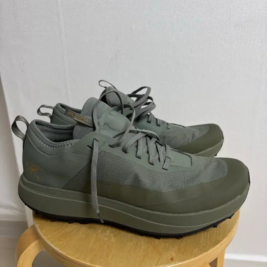 [BUNJANG] Arc'teryx Sylan GTX Trail Running Shoes / 아크테릭스 Sylan 고어텍스 트레일 러닝화