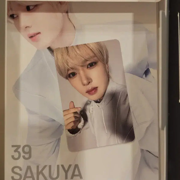 [BUNJANG] NCT Wish Group Photocard Set Sakuya Unsealed / 엔시티 팝업 엔시티 위시 그룹 포토 세트 포카 사쿠야 단순개봉