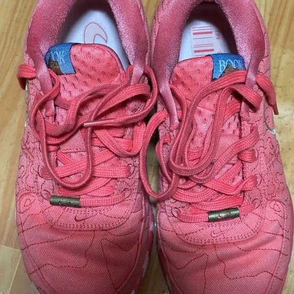 [BUNJANG] Nike Book 1 Sedona Basketball Shoes / 나이키 북1 세도나 농구화 260
