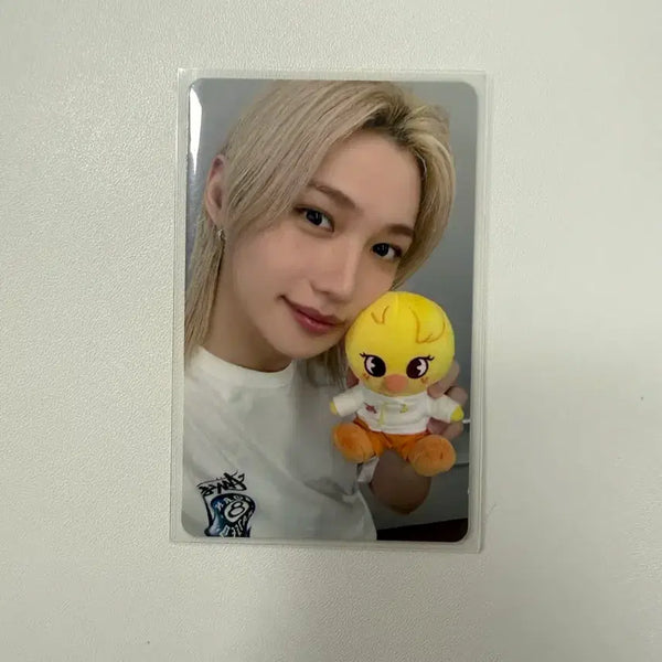 [BUNJANG] Stray Kids Zoo Topia Felix Photocard / 스트레이키즈 주토피아 필릭스 포카