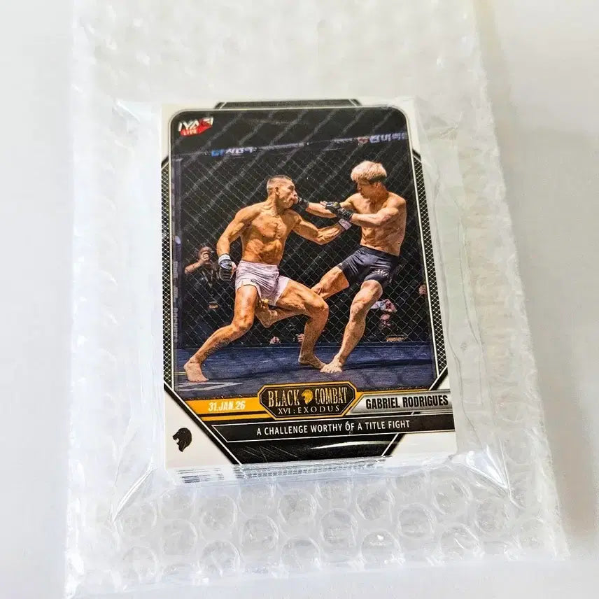 [BUNJANG] Black Combat EX Full Set (40 Cards) / 블랙컴뱃 평카드(EX) 전종(40장)