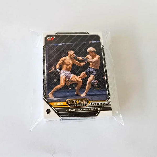 [BUNJANG] Black Combat TCG EX Set (40 Cards) / 블랙컴뱃 평카드(EX) 전종(40장)