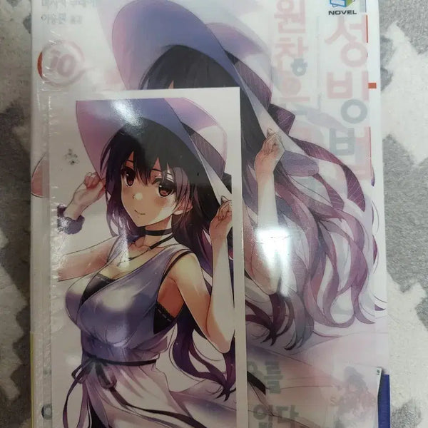 [BUNJANG] How to Raise a Boring Girlfriend Vol. 10 First Edition Light Novel (Sealed) / 시원찮은 그녀를 위한 육성방법 10권 초판미개봉 라노벨